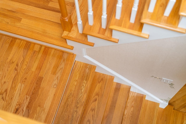 116 Buckingham Pl, Waynesboro, VA 22980 - view of stairway