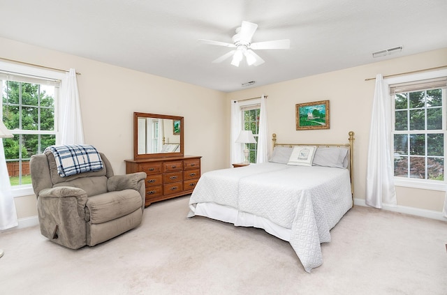116 Buckingham Pl, Waynesboro, VA 22980 - bedroom featuring light carpet, multiple windows, and baseboards