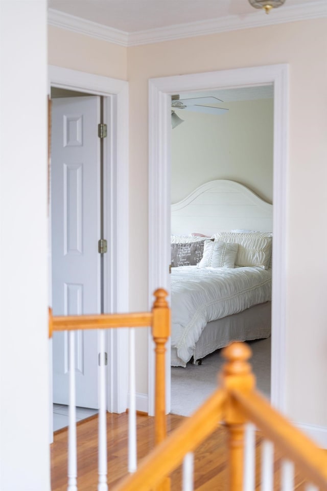 116 Buckingham Pl, Waynesboro, VA 22980 - bedroom featuring ornamental molding and wood finished floors
