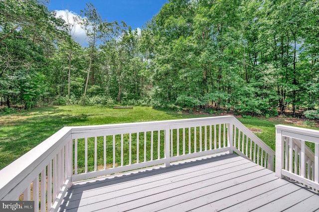 379 Mount Pleasant Church Rd, Mineral, VA 23117 - photo 11