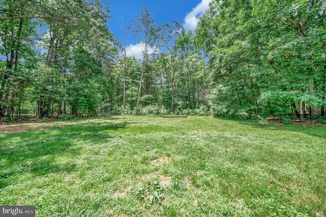 379 Mount Pleasant Church Rd, Mineral, VA 23117 - photo 41