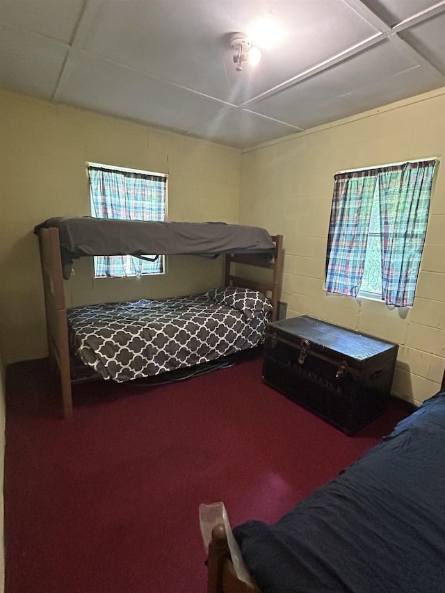 847 Bear Wallow Flat Ln, Deerfield, VA 24431 - bedroom with concrete block wall and carpet floors