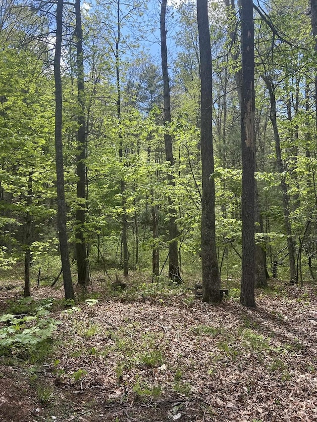 847 Bear Wallow Flat Ln, Deerfield, VA 24431 - view of wooded area