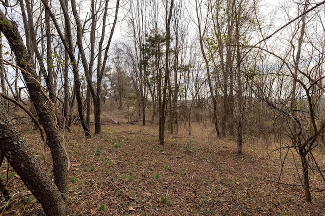 0 Shen Lake Rd, Rockingham, VA 22801