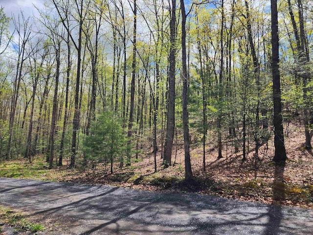 TBD Bucksnort Trl, Doe Hill, VA 24433