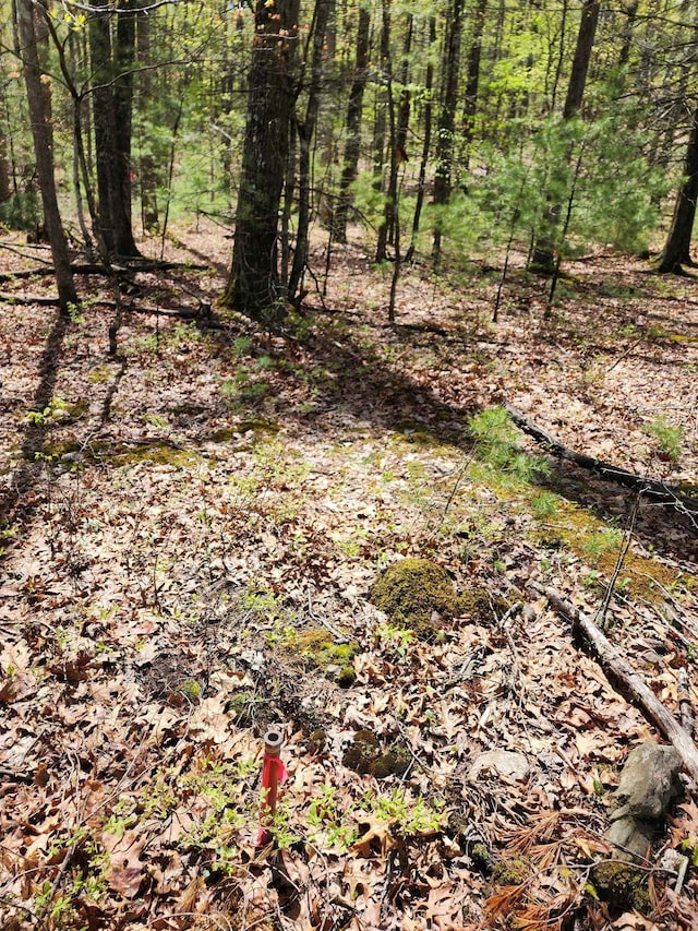 TBD Bucksnort Trl, Doe Hill, VA 24433