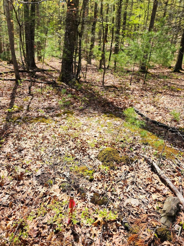 TBD Bucksnort Trl, Doe Hill, VA 24433