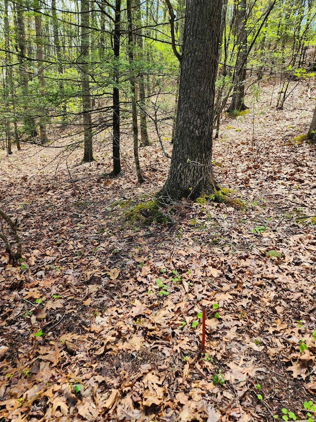 TBD Bucksnort Trl, Doe Hill, VA 24433