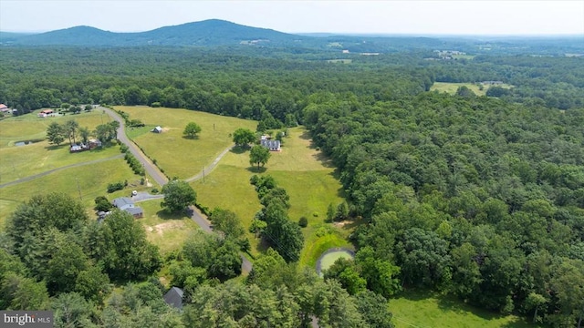 274 Aaron Mountain Rd, Castleton, VA 22716 - photo 58