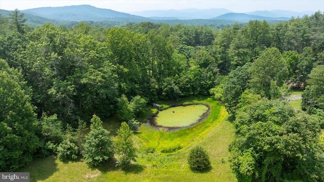 274 Aaron Mountain Rd, Castleton, VA 22716 - photo 72