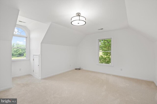 274 Aaron Mountain Rd, Castleton, VA 22716 - photo 33