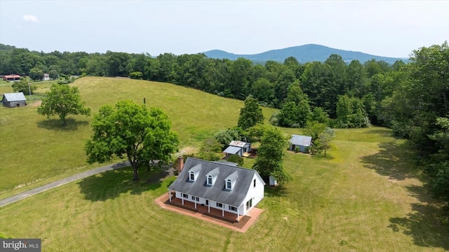 274 Aaron Mountain Rd, Castleton, VA 22716 - photo 53