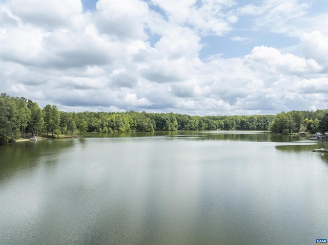 6406 Carter Ln, Mineral, VA 23117 - water view featuring a forest