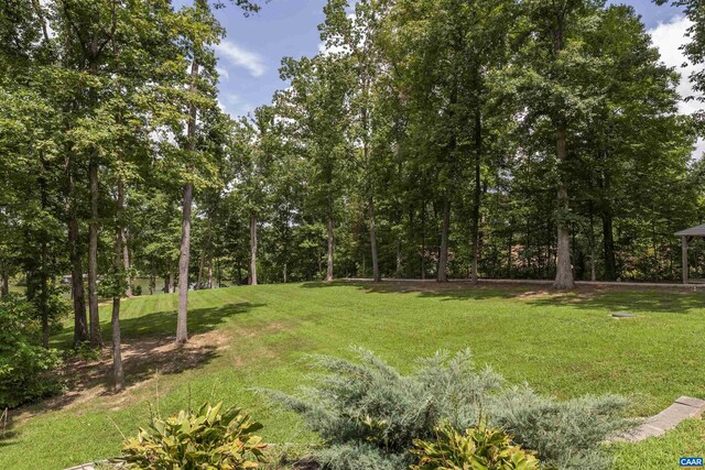 6406 Carter Ln, Mineral, VA 23117 - view of grassy yard