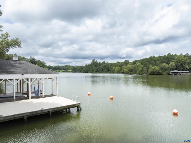 6406 Carter Ln, Mineral, VA 23117 - dock featuring a water view and a forest view