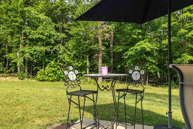 2749 Lee Hwy E, New Market, VA 22844 - view of grassy yard