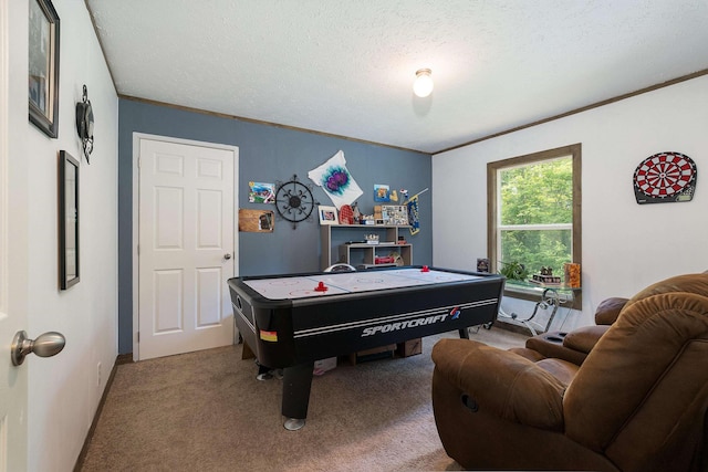 2749 Lee Hwy E, New Market, VA 22844 - rec room with a textured ceiling, carpet, and crown molding