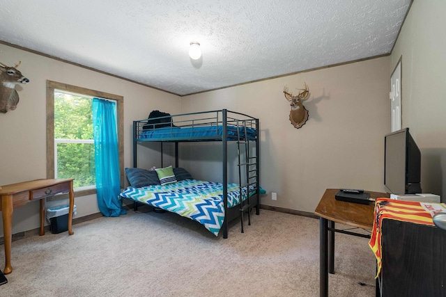 2749 Lee Hwy E, New Market, VA 22844 - bedroom with carpet floors, a textured ceiling, and ornamental molding
