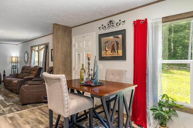 2749 Lee Hwy E, New Market, VA 22844 - dining space featuring wood finished floors, a textured ceiling, and crown molding