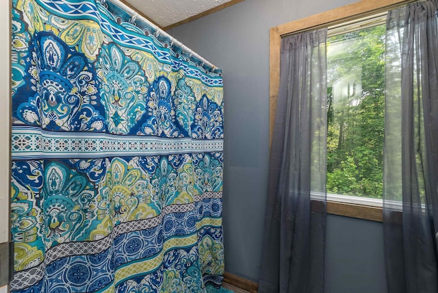 2749 Lee Hwy E, New Market, VA 22844 - view of bathroom