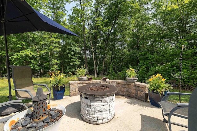 2749 Lee Hwy E, New Market, VA 22844 - view of patio / terrace featuring an outdoor fire pit