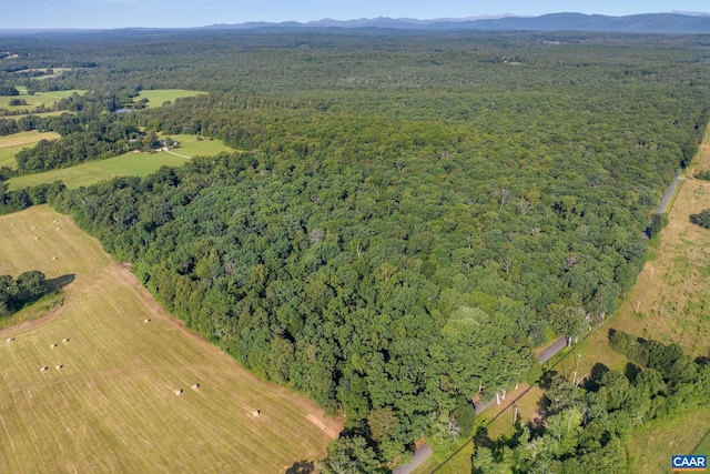 76.99ACRES Coles Rolling Rd, Scottsville, VA 24590 - photo 25