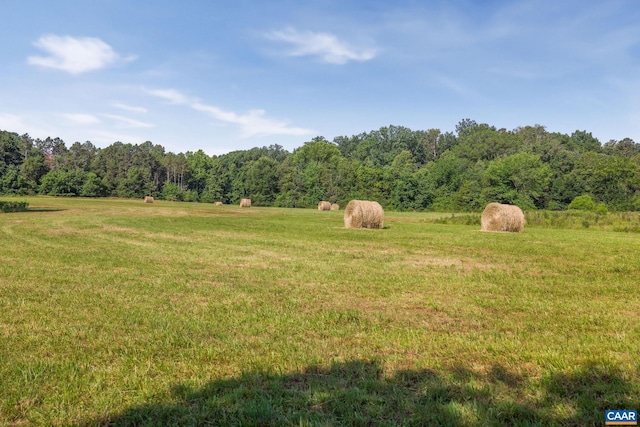 76.99ACRES Coles Rolling Rd, Scottsville, VA 24590 - photo 32