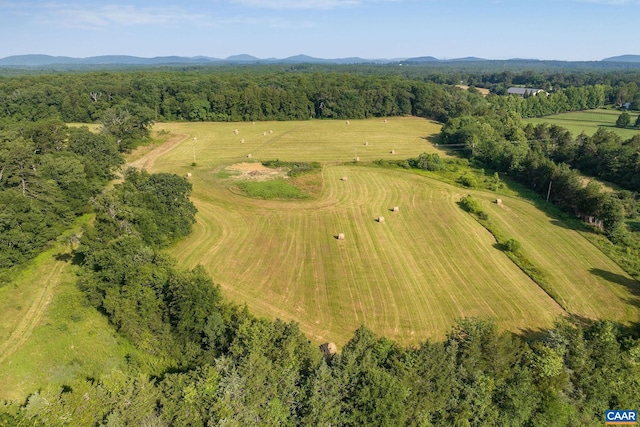 76.99ACRES Coles Rolling Rd, Scottsville, VA 24590 - photo 22