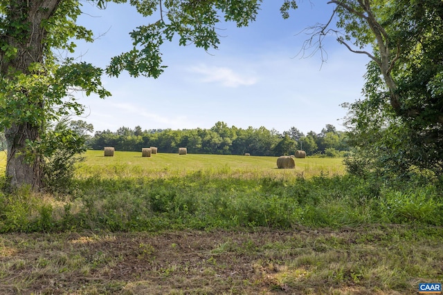 76.99ACRES Coles Rolling Rd, Scottsville, VA 24590 - photo 15