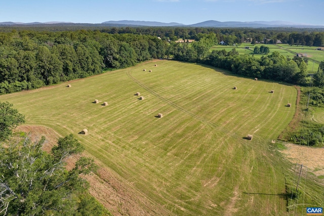76.99ACRES Coles Rolling Rd, Scottsville, VA 24590 - photo 21