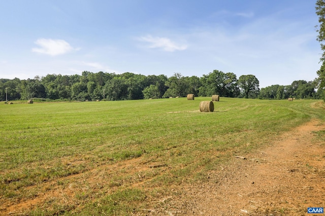 76.99ACRES Coles Rolling Rd, Scottsville, VA 24590 - photo 24
