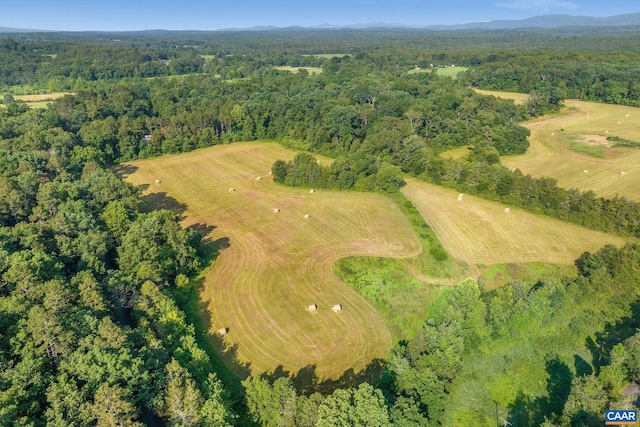 76.99ACRES Coles Rolling Rd, Scottsville, VA 24590 - photo 9