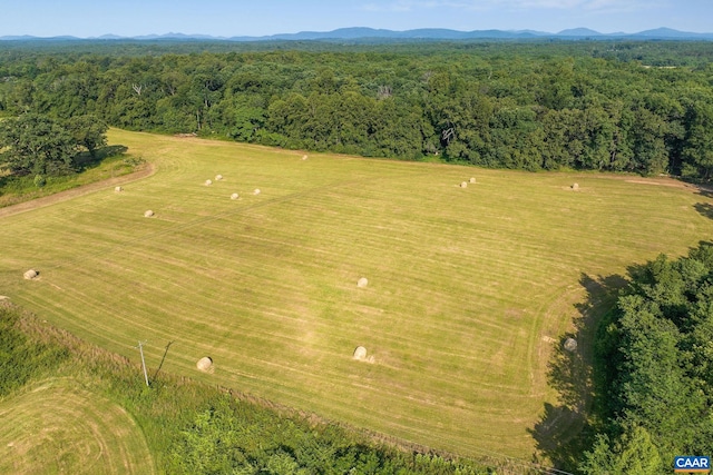 76.99ACRES Coles Rolling Rd, Scottsville, VA 24590 - photo 23