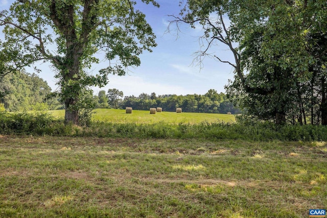 76.99ACRES Coles Rolling Rd, Scottsville, VA 24590 - photo 5