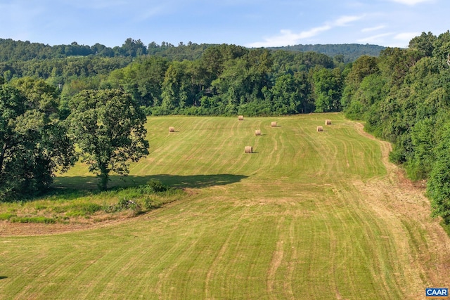 76.99ACRES Coles Rolling Rd, Scottsville, VA 24590 - photo 12