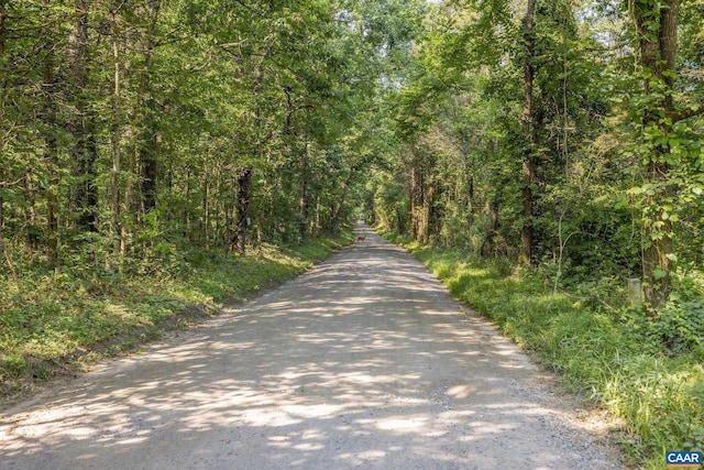 76.99ACRES Coles Rolling Rd, Scottsville, VA 24590 - photo 26