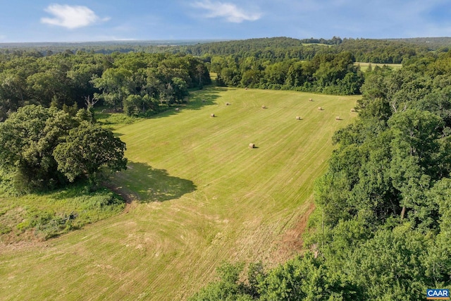 76.99ACRES Coles Rolling Rd, Scottsville, VA 24590 - photo 14