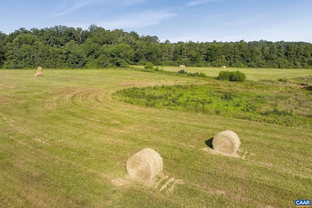 76.99ACRES Coles Rolling Rd, Scottsville, VA 24590 - photo 29