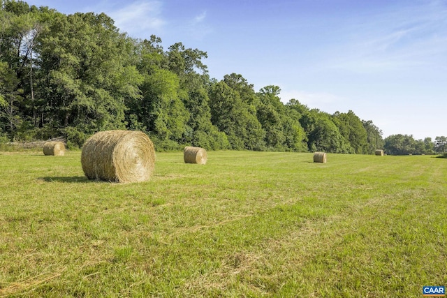 76.99ACRES Coles Rolling Rd, Scottsville, VA 24590 - photo 19