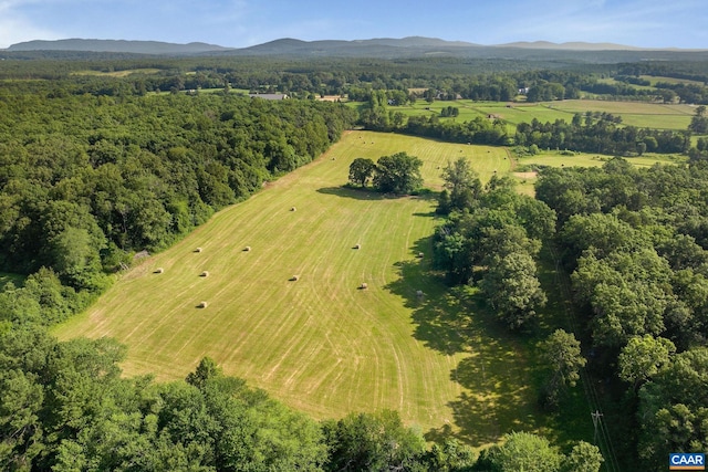 76.99ACRES Coles Rolling Rd, Scottsville, VA 24590 - photo 18