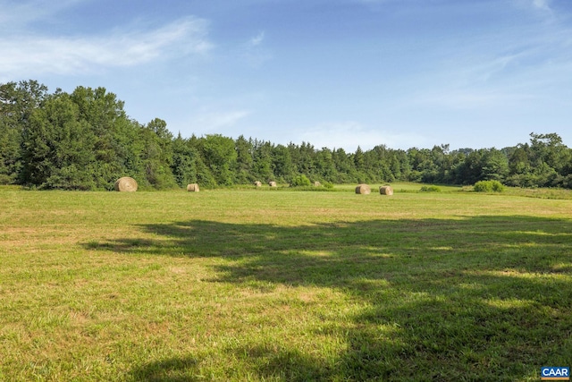 76.99ACRES Coles Rolling Rd, Scottsville, VA 24590 - photo 30