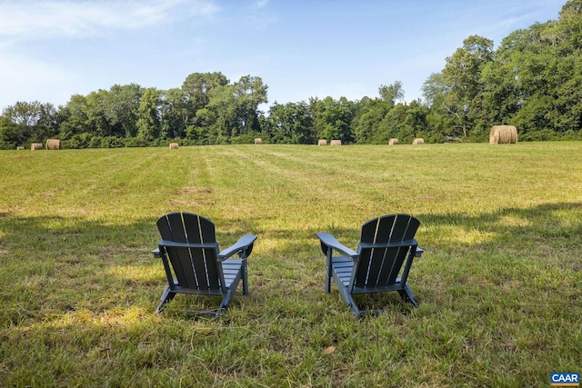 76.99ACRES Coles Rolling Rd, Scottsville, VA 24590 - photo 17