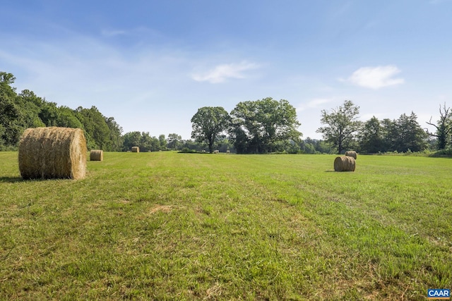 76.99ACRES Coles Rolling Rd, Scottsville, VA 24590 - photo 4