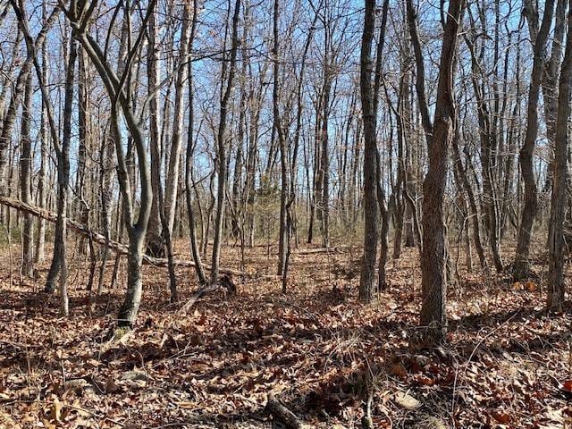 TBD Howardsville Tpke, Stuarts Draft, VA 24477