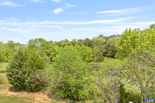 view of woods