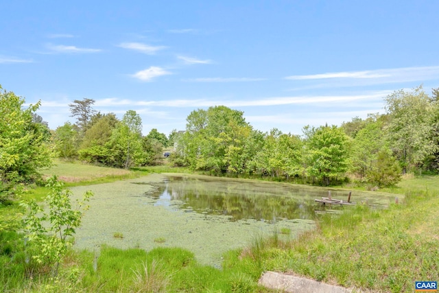 water view with a heavily wooded area