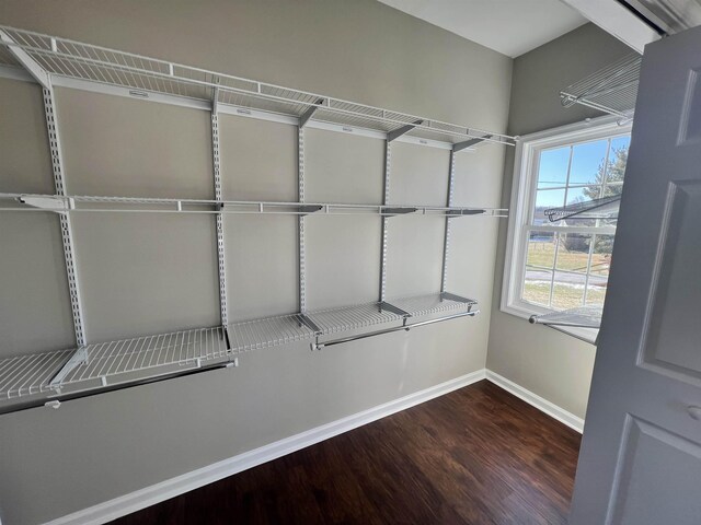 walk in closet featuring dark hardwood / wood-style flooring