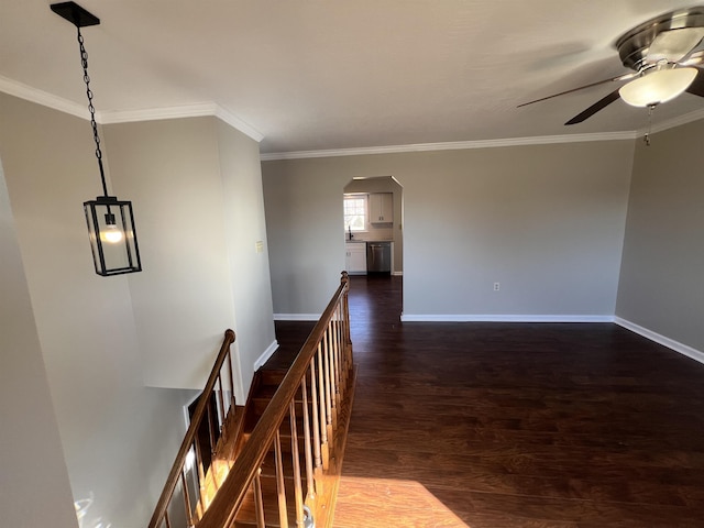 hallway featuring dark hardwood / wood-style flooring and crown molding