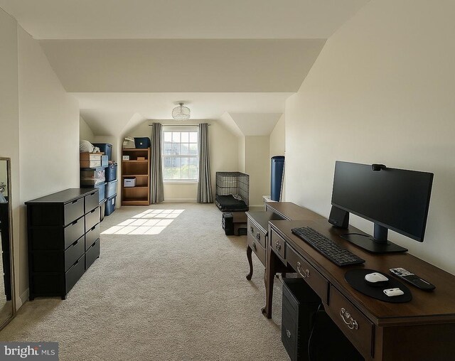 9933 Box Oak Ct, Fredericksburg, VA 22407 - photo 17