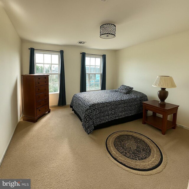 9933 Box Oak Ct, Fredericksburg, VA 22407 - photo 19